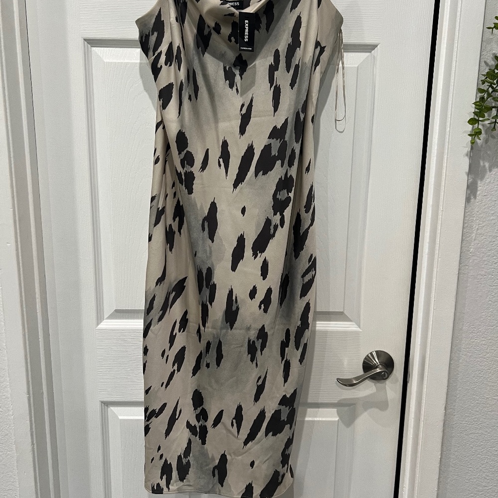 Express Dress